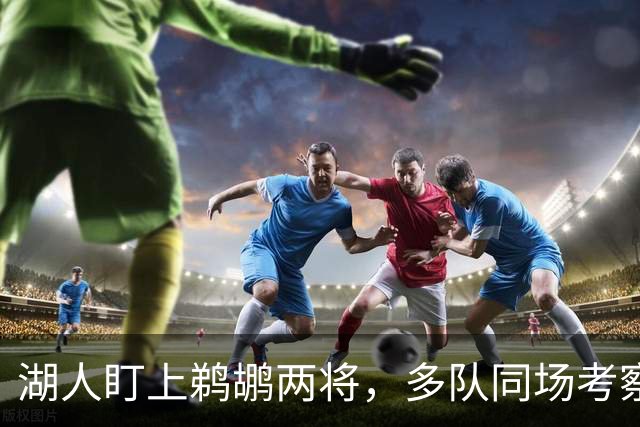 湖人盯上鹈鹕两将，多队同场考察墨菲与琼斯